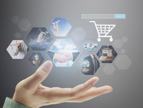 2019年兩大商機 互聯(lián)網信息服務助力普通人收入翻倍增長